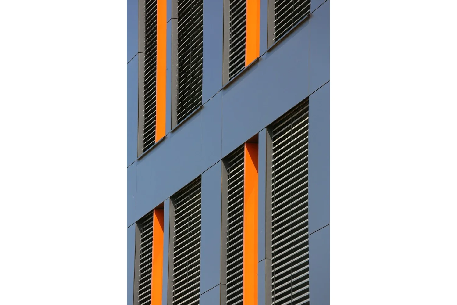 Wielgolas