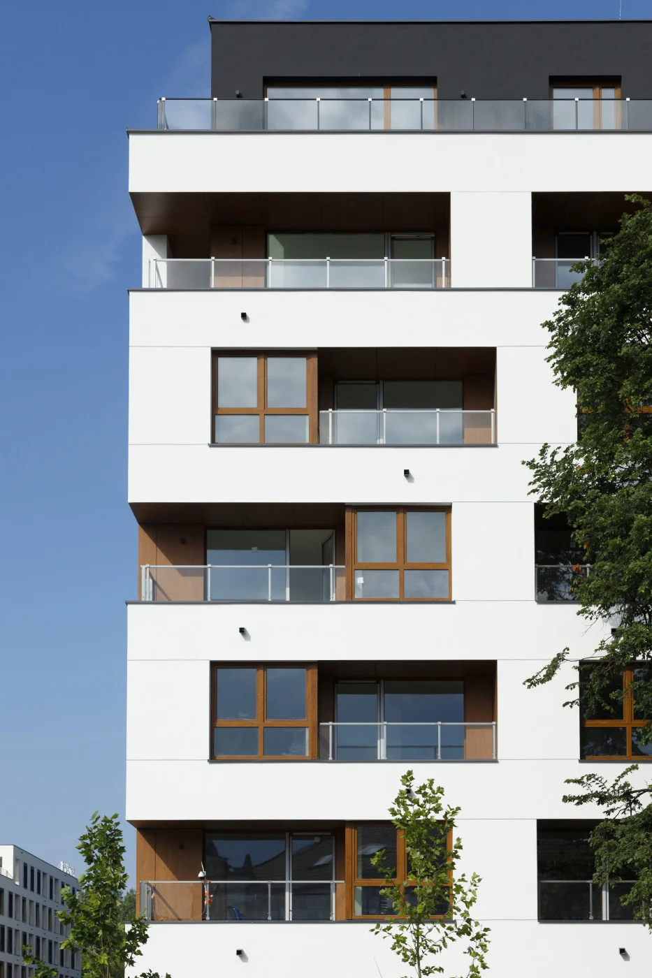 Verino 3