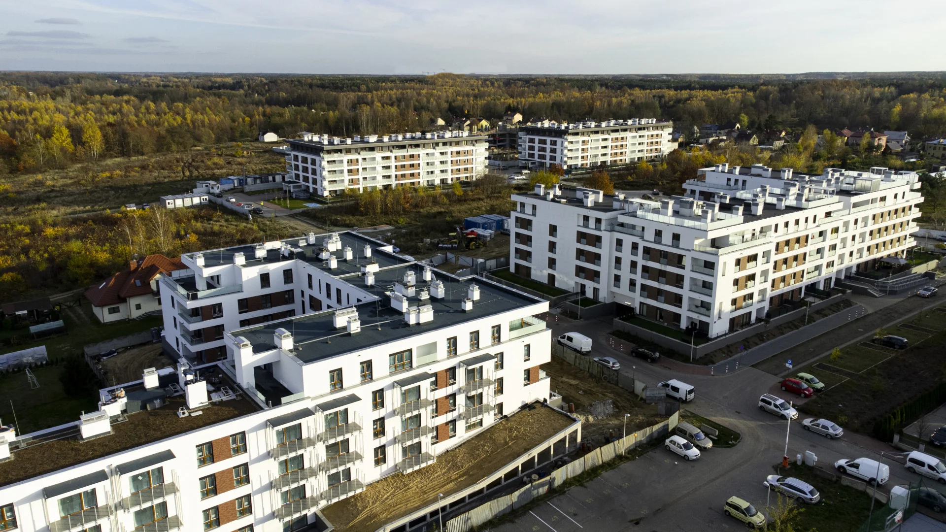 Partner Klonowa 8